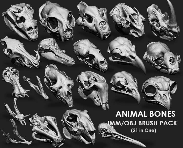 21组动物头骨骷髅骨骼3D模型 Artstation – Animal Bones Collection IMM\Stl\Obj Brush Pack 21 in One Vol.1