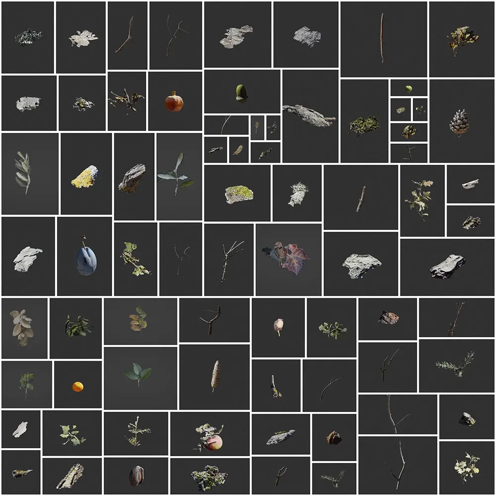 Blender几何节点近景树木模型资产 Smart Trees – Super Close-Up Trees 38种高精度树木可无限生成变体