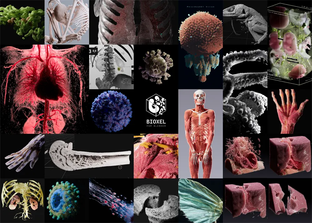 Bioxel Nodes v2.0.0 for Blender 科学体数据可视化渲染插件下载