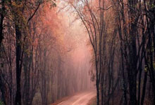 Blender Vray渲染器V-Ray 7.00.40 for Blender 4.2 – 4.4 Win