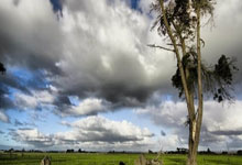 Blender Vray渲染器V-Ray 7.00.40 for Blender 4.2 – 4.4 Win