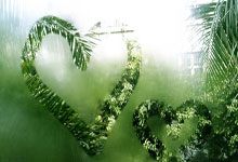 Blender Vray渲染器V-Ray 7.00.40 for Blender 4.2 – 4.4 Win