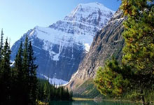 Blender Vray渲染器V-Ray 7.00.40 for Blender 4.2 – 4.4 Win