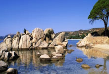 Blender Vray渲染器V-Ray 7.00.40 for Blender 4.2 – 4.4 Win