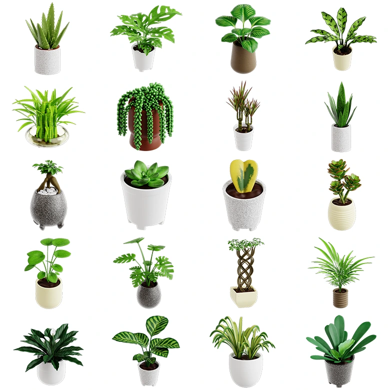 20组卡通室内绿植盆栽3D图标模型下载UI8 - Indoor Plant 3D Icon Set